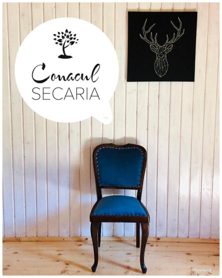 Conacul Secariaヴィラ エクステリア 写真